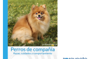 Perros de compañía Razas, cuidados y comportamiento Perros de compañía Razas, cuidados y comportamiento