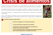 Crisis de alimentos