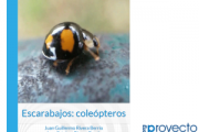 Escarabajos: coleópteros