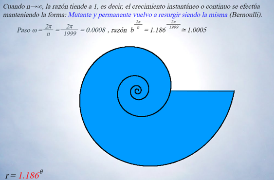 Crecimiento gnomónico instantáneo