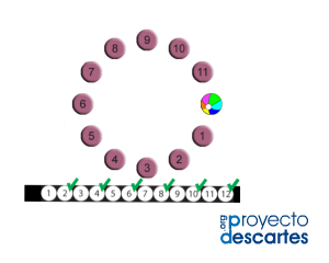 PX CA 14 JS