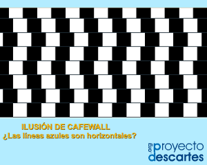 Portada del recurso La ilusión del Café