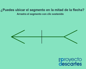 Portada del recurso Ilusiones geométricas IV