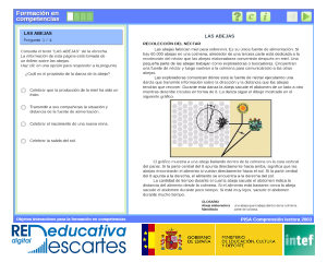 Imagen que da acceso al recurso
