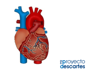 Imagen que da acceso al recurso