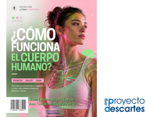 ¿Como funciona el cuerpo humano?