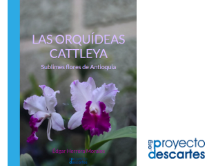 Haz click para abrir el recurso Las orquídeas Cattleya