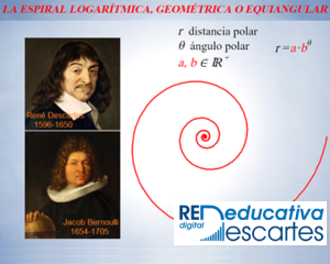 La espiral logarítmica