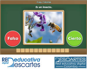Falso_verdadero3-JS