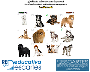 Mosaico