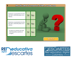 Preguntas Sí/No tercer modelo