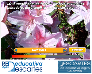 Plantilla: Dictado - Textos y sonido