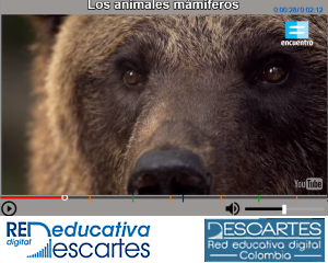 Plantilla: Vídeo interactivo Modelo 4 - YouTube
