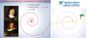El grillo y la espiral logarítmica