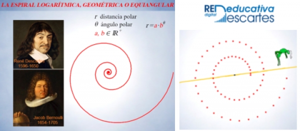 El grillo y la espiral logarítmica