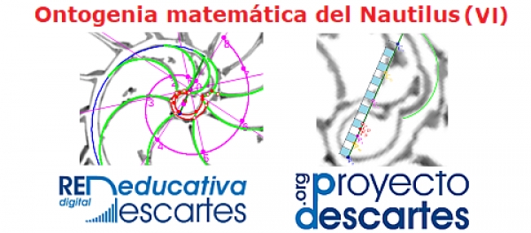 Ontogenia matemática del Nautilus (VI)