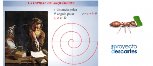 La hormiga y la espiral