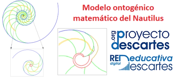 Modelo ontogénico matemático del Nautilus