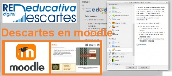Descartes en Moodle. Etiquetas