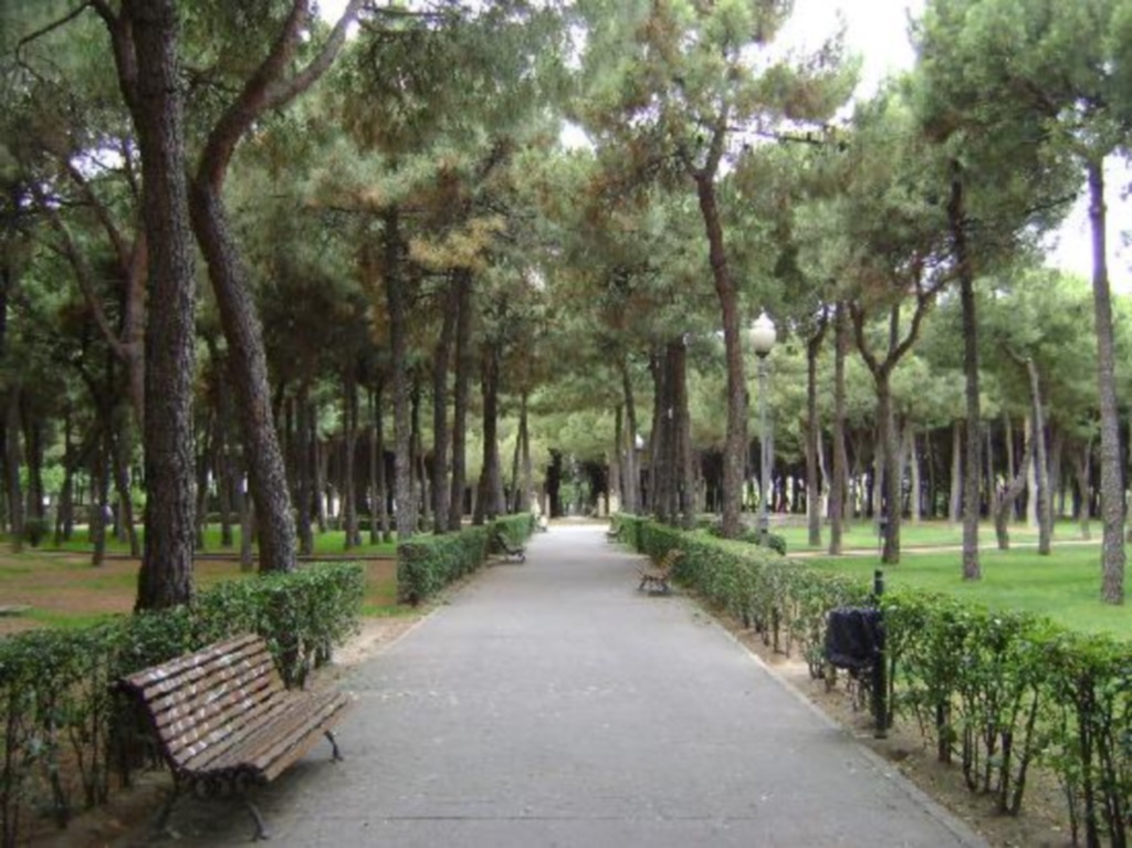 image4