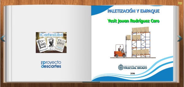 Paletización