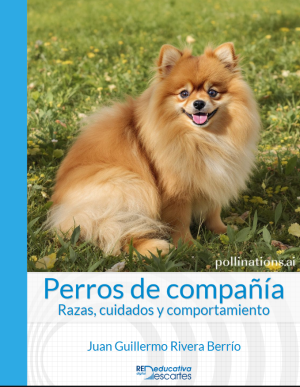 Perros de compañía