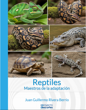 Reptiles