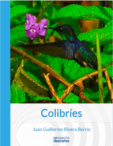 Colibríes