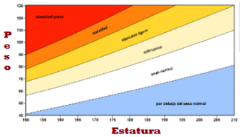 Estatura y peso