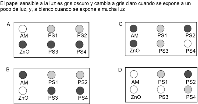 protectores protectores