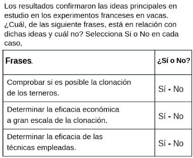 primera pregunta