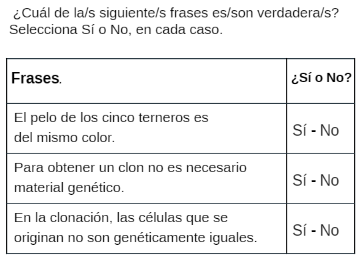 imagen tercera pregunta