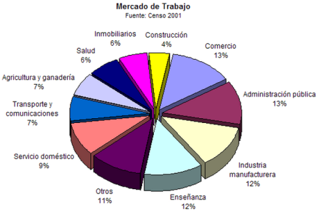 Distribución del mercado de trabajo