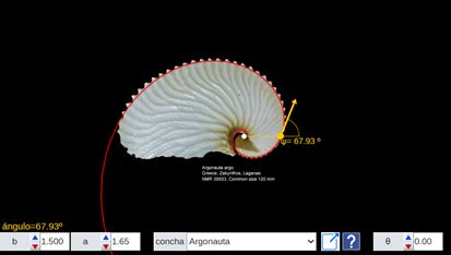 Experto clasificador de conchas discoidales