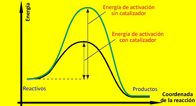 Los catalizadores disminuyen la energía de activación En la imagen podemos observar cómo un catalizador es capaz de disminuir la energía de activación