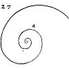 Pseudo espiral de Durero