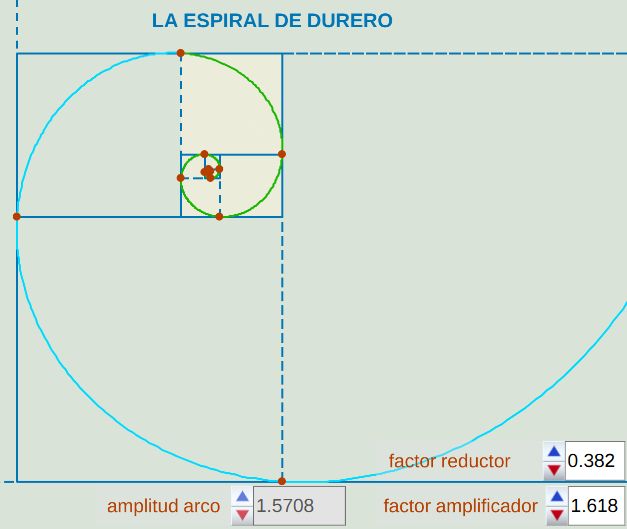 La actualmente denominada como espiral de Durero