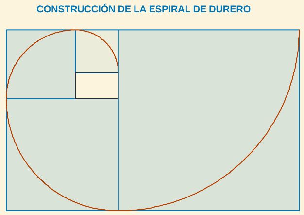 Construcción de la espiral de Durero a partir de un rectángulo áureo