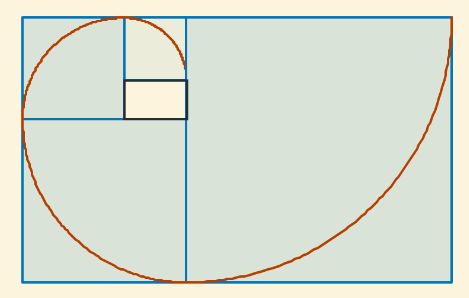 pseudoespiral de Durero